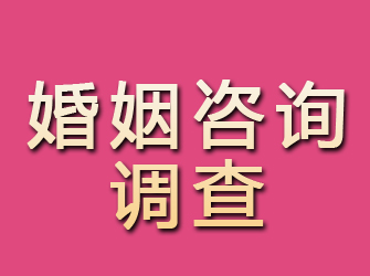 泾川婚姻咨询调查